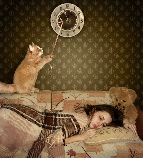 Alvó kép cicával