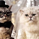 5 esküvői videó, mely tuti jókedvre derít!