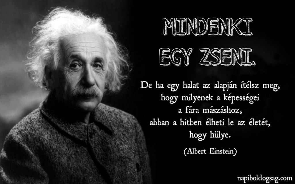 Einstein idézet