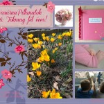 VasárnaPillanatok #106: Tökmag fél éves!