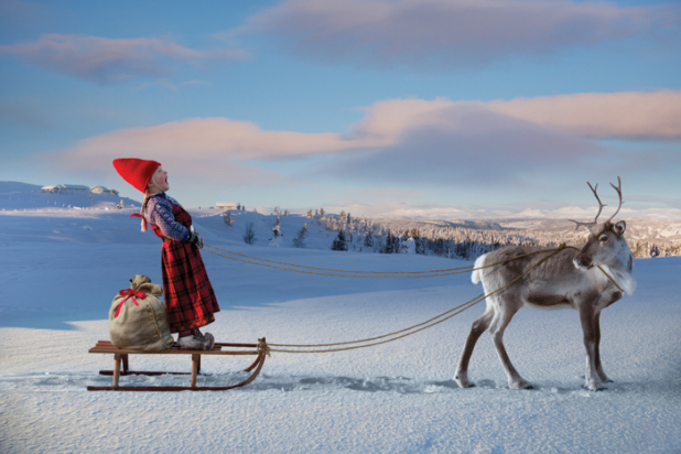 reindeer wish