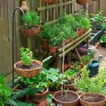 Így termelj magadnak zöldséget kert nélkül! – 2. rész