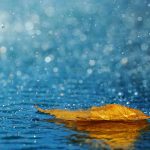 15 esős dal egy esős napra