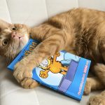 10 jel, ami arra utal, hogy a macskád valójában Garfield!