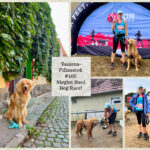 VasárnaPillanatok #416: Megint Hard Dog Race!