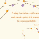 Gyönyörű világ!
