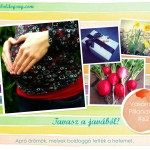 VasárnaPillanatok #62: Tavasz a javából!