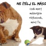 Megfontolandó!