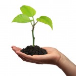 Az 5 (szerintem) legjobb zöld blog