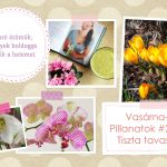 VasárnaPillanatok #262: Tiszta tavasz!