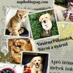 VasárnaPillanatok #289: Búcsú a nyártól