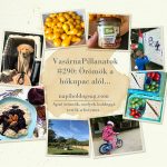 VasárnaPillanatok #290: Örömök a „hókupac” alól, avagy lehúzhatom a rolót?