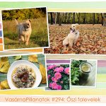 VasárnaPillanatok #294: Őszi falevelek