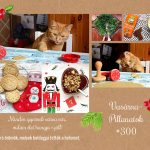 VasárnaPillanatok #300: Minden gyermek várva vár, vidám élet hangja száll!
