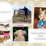 VasárnaPillanatok #313: Új kezdetek