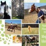 VasárnaPillanatok #315: Megint lóháton