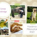 VasárnaPillanatok #321: Lovas hétvége