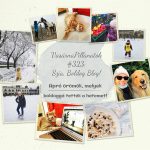 VasárnaPillanatok #323: Szia, Boldog Blog!