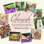 VasárnaPillanatok #336-337: Mozgalmas napok