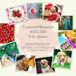 VasárnaPillanatok #337-338: Üdv június!