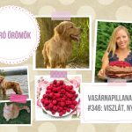 VasárnaPillanatok #346: Viszlát, nyár!