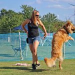 (Indián)nyári örömök, avagy két hónap boldog pillanatai!