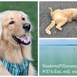 VasárnaPillanatok #374: Ess, eső, ess!